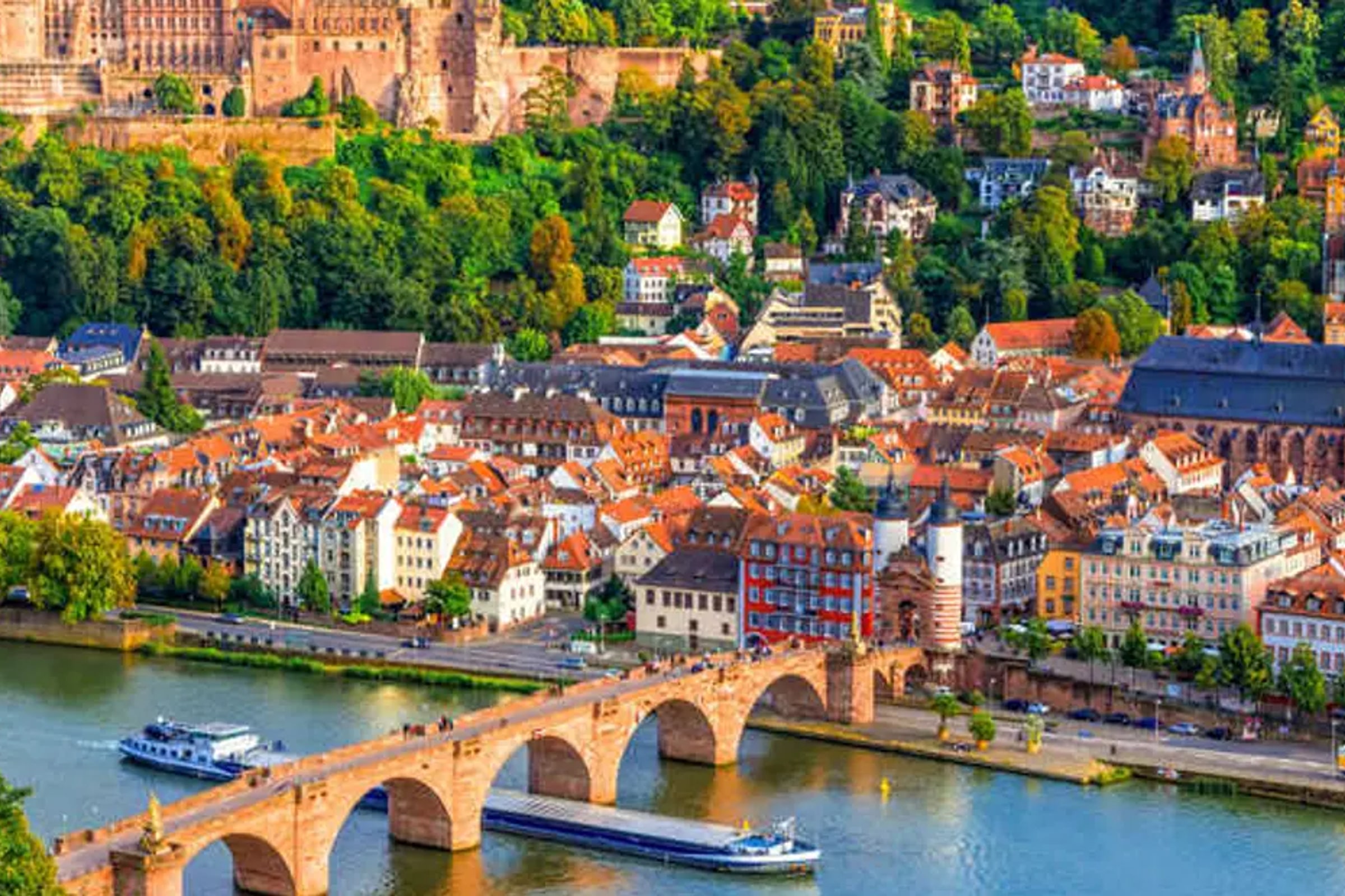 Heidelberg and Rothenburg Day Trip from Frankfurt